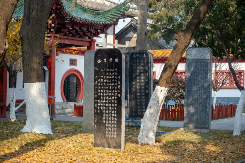 青岛海域船用导航雷达与电子海图设备选型对比分析