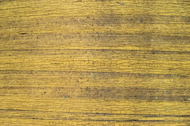 船用GPS导航仪与测深仪组合选型及应用场景对比